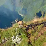 Mobil Avec Terrasse - 6 Pers. - Api-1-52-2038 אתר קמפינג *