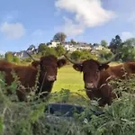 אתר קמפינג Mobil Avec Terrasse - 6 Pers. - Api-1-52-2038 *