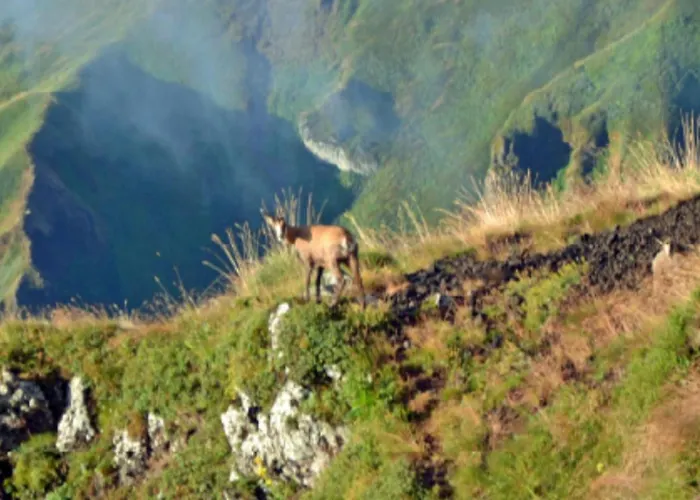 Mobil Avec Terrasse - 6 Pers. - Api-1-52-2038 Кемпинг *