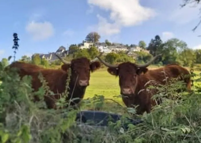 Кемпинг Mobil Avec Terrasse - 6 Pers. - Api-1-52-2038 *